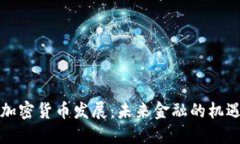 普京谈加密货币发展：未来金融的机遇与挑战