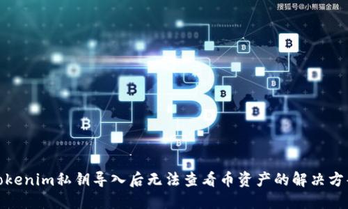 Tokenim私钥导入后无法查看币资产的解决方案