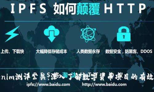 Tokenim测评公关：深入了解数字货币项目的有效工具
