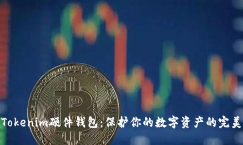 探索Tokenim硬件钱包：保护你的数字资产的完美选择