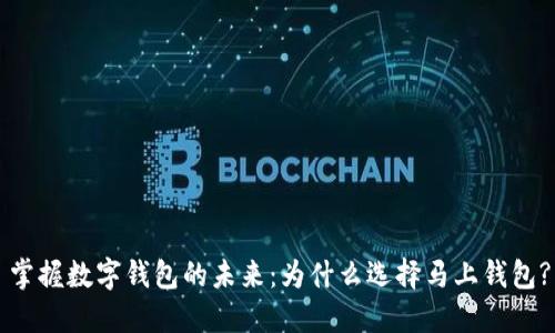 掌握数字钱包的未来：为什么选择马上钱包?