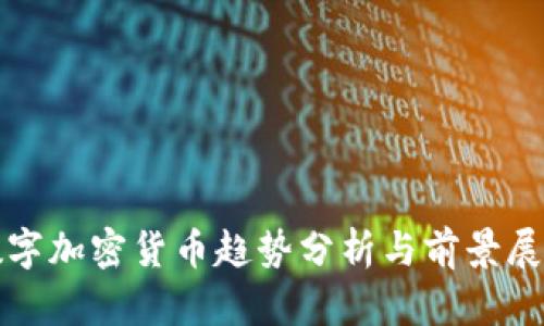 数字加密货币趋势分析与前景展望