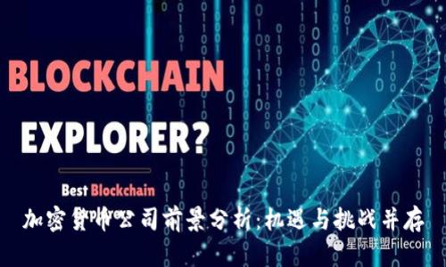 加密货币公司前景分析：机遇与挑战并存