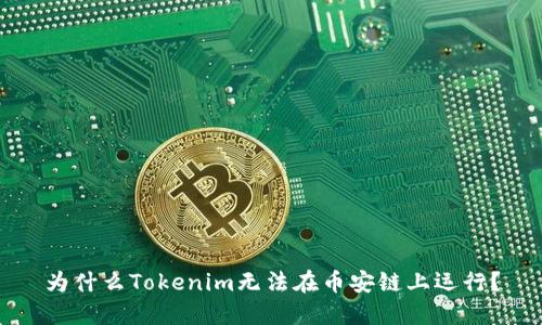 为什么Tokenim无法在币安链上运行？