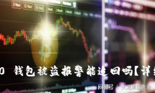 spanimToken 2.0 钱包被盗报警能追回吗？详细解析和防范措施