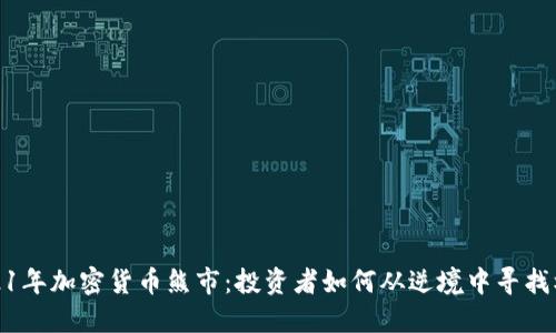 2021年加密货币熊市：投资者如何从逆境中寻找机遇