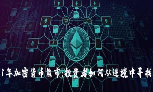 2021年加密货币熊市：投资者如何从逆境中寻找机遇