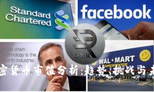 全球加密货币市值分析：趋势、挑战与未来展望