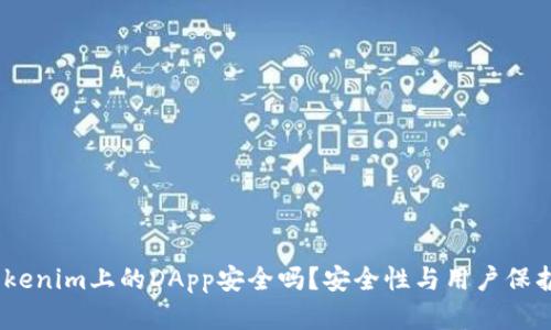 深入分析：Tokenim上的DApp安全吗？安全性与用户保护的未来探讨