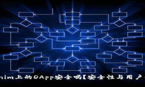 深入分析：Tokenim上的DApp安全吗？安全性与用户保护的未来探讨