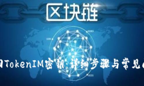 如何找回TokenIM密钥：详细步骤与常见问题解答