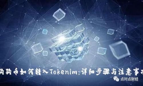 狗狗币如何转入Tokenim：详细步骤与注意事项