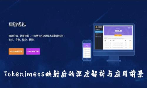 Tokenimeos映射后的深度解析与应用前景