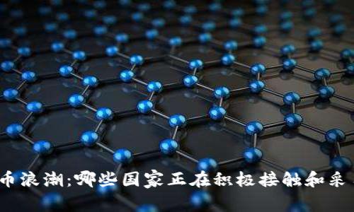 全球加密货币浪潮：哪些国家正在积极接触和采用加密货币？