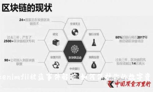Tokenimfil被盗事件解析：如何保护你的数字资产？