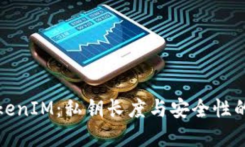 理解TokenIM：私钥长度与安全性的重要性