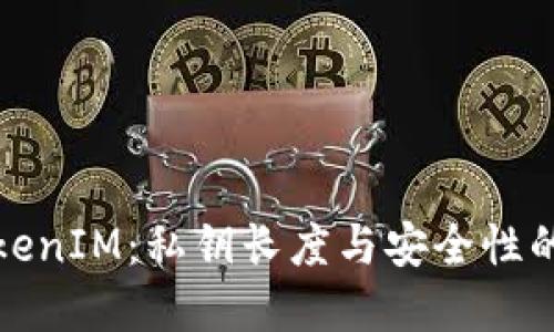 理解TokenIM：私钥长度与安全性的重要性