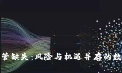 加密货币监管缺失：风险与机遇并存的数字金融