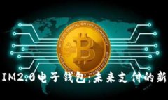 探索IM2.0电子钱包：未来支付的新时尚