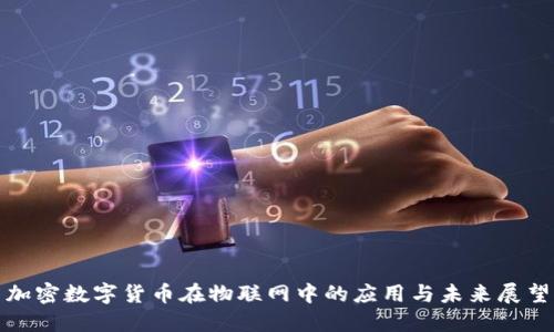 加密数字货币在物联网中的应用与未来展望