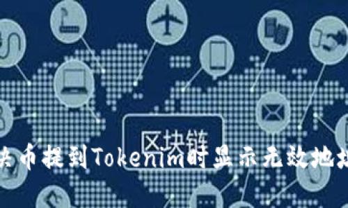 如何解决币提到Tokenim时显示无效地址的问题