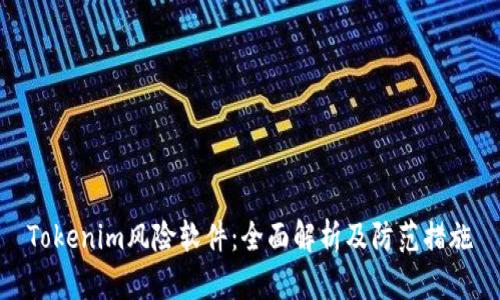 Tokenim风险软件：全面解析及防范措施