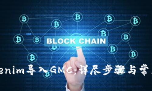 如何将Tokenim导入GMC：详尽步骤与常见问题解答