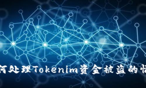 如何处理Tokenim资金被盗的情况