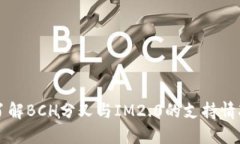 了解BCH分叉与IM2.0的支持情况