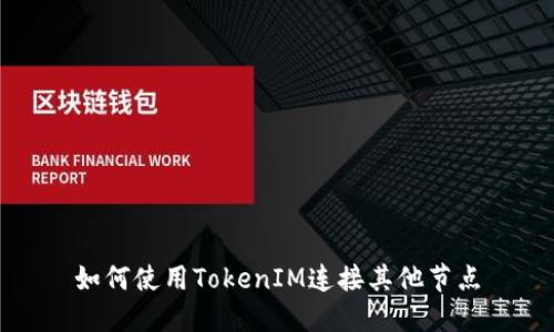 如何使用TokenIM连接其他节点