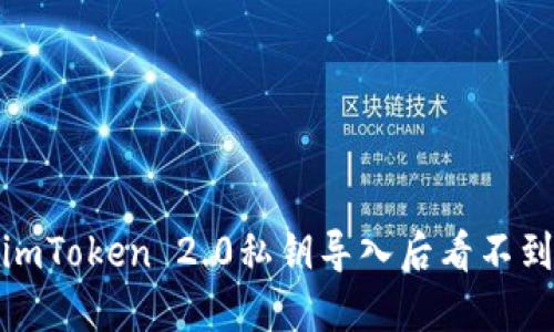 `如何解决imToken 2.0私钥导入后看不到币的问题？
