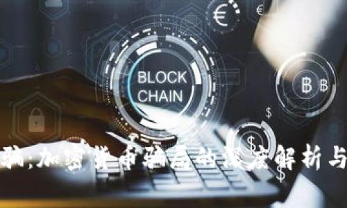 揭秘迪拜诈骗：加密货币骗局的深度解析与投资者警惕