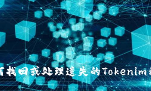  如何找回或处理遗失的Tokenim私钥？