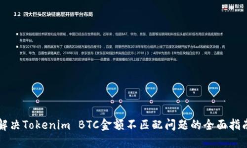 解决Tokenim BTC金额不匹配问题的全面指南