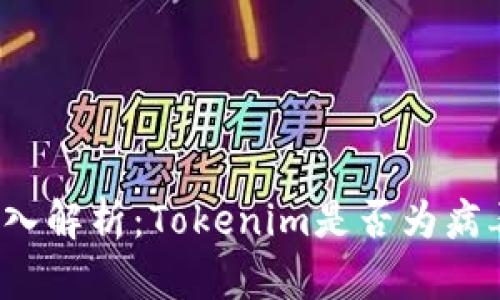 深入解析：Tokenim是否为病毒？