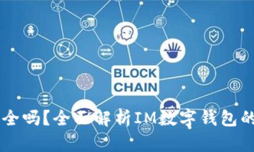 IM数字钱包安全吗？全面解析IM数字钱包的安全性与特性