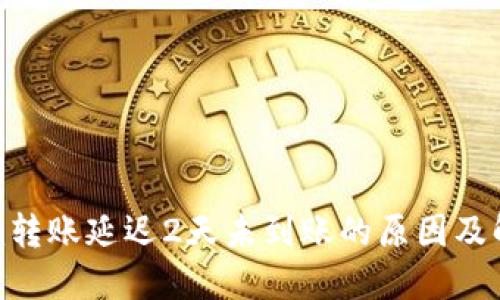 Tokenim转账延迟2天未到账的原因及解决方案