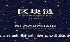 TokenIn映射过的EOS处理指南