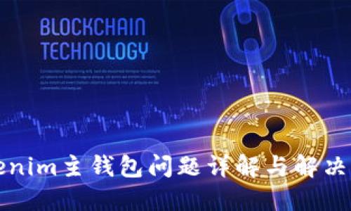 Tokenim主钱包问题详解与解决指南