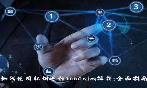 如何使用私钥进行Tokenim操作：全面指南
