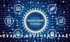 加密货币比萨日：数字货币的里程碑与未来展望